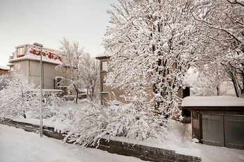 רייקיאוויק Nordurey Guesthouse מראה חיצוני תמונה
